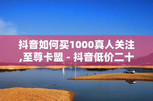 抖音如何买1000真人关注,至尊卡盟 - 抖音低价二十四小时下单平台 - 网络数据业务平台抖音